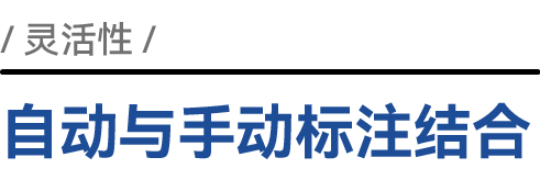 自动与手动标注结合
